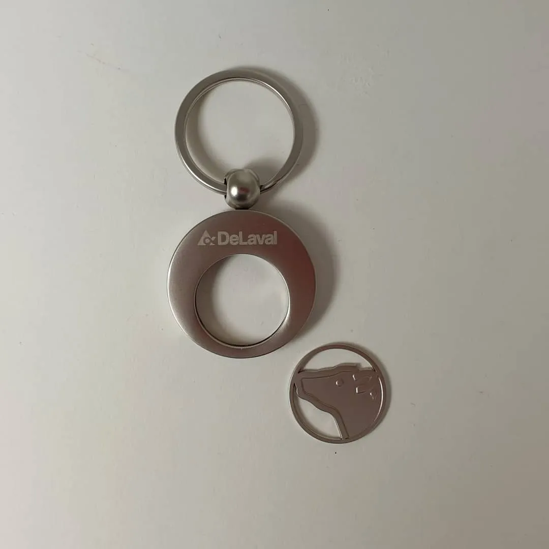 Schlüsselanhänger – Einkaufswagenchip