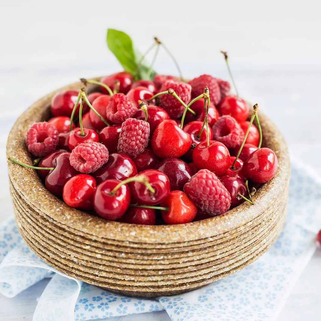 Kompostierbares Geschirr – Bild 3