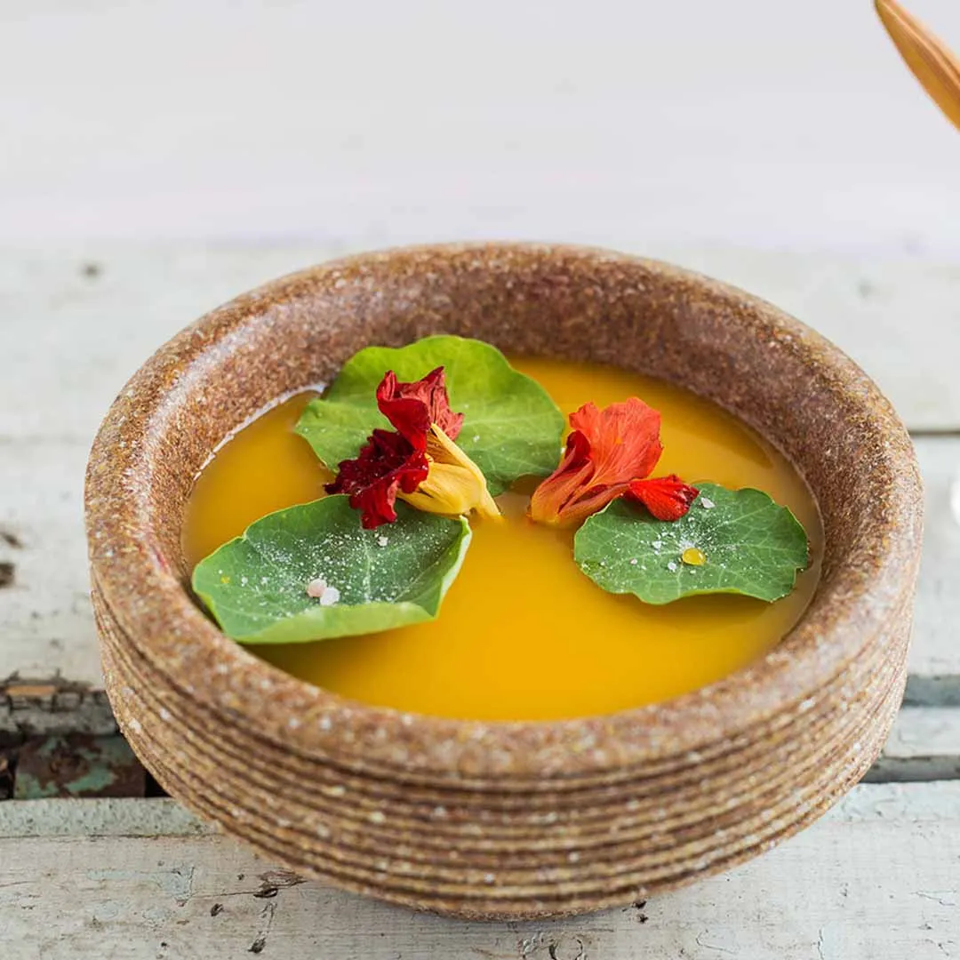 Kompostierbares Geschirr